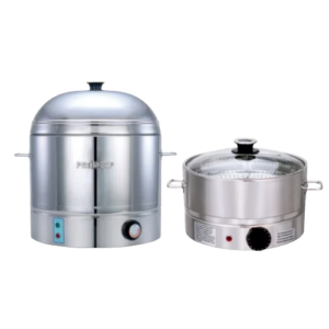 Electric Steamer