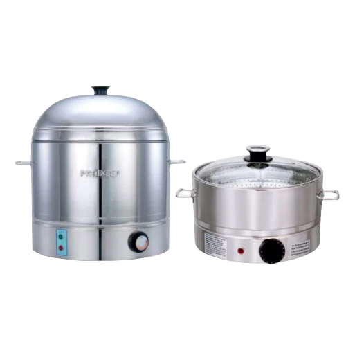 Electric Steamer
